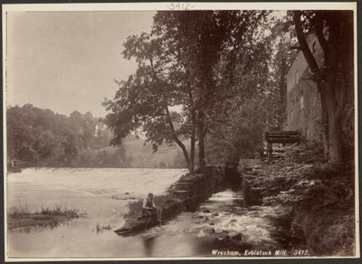 Wrexham, Erbistock Mill door Francis Bedford