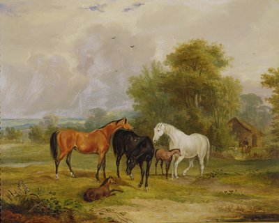Paarden Grazend: Merries en Veulens in een Weide door Francis Calcraft Turner