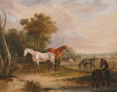 Paarden Grazend: een Grijze Hengst Grazend met Merries in een Weide door Francis Calcraft Turner