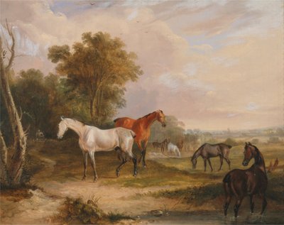 Paarden grazen: een grijze hengst graast met merries in een weiland door Francis Calcraft Turner