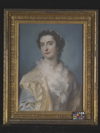 Portret van een Dame door Francis Cotes