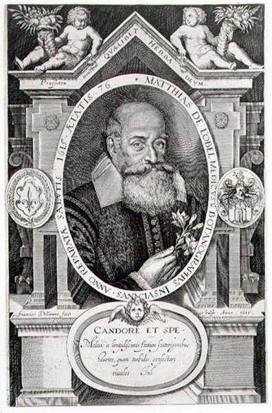 Portret van Matthias de Lobel (1538-1622) gegraveerd door de kunstenaar door Francis Delaram
