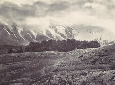 Verre Zicht op de Ceders van Libanon, ca. 1857 door Francis Frith