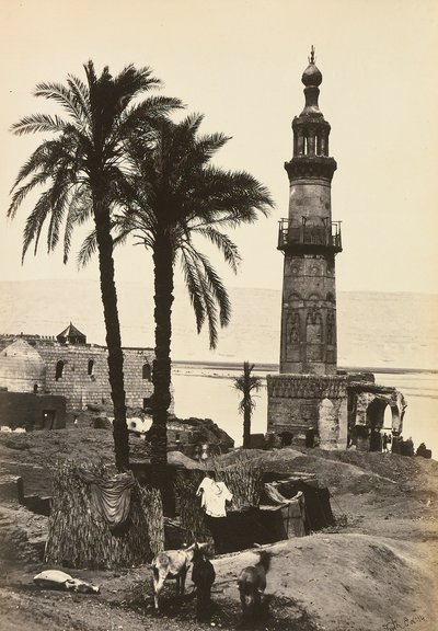 "Egypte en Palestina": uitzicht op Girgeh, Opper-Egypte door Francis Frith