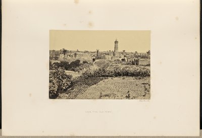 Gaza (de oude stad) door Francis Frith