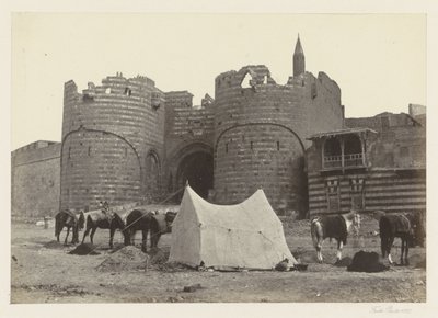 Gezicht op Bab al-Azab, poort naar de citadel van Caïro door Francis Frith