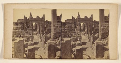 [Ruïnes met gebeeldhouwde figuren op muren op voorgrond]. door Francis Frith