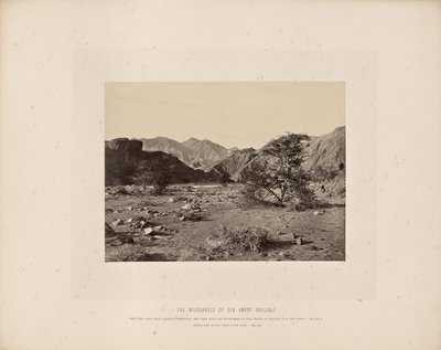 De wildernis van de zonde (Wady Shellal) door Francis Frith