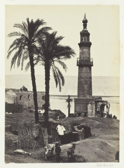 Uitzicht op Girgeh, Boven-Egypte door Francis Frith