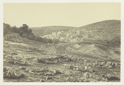 Uitzicht op Hebron door Francis Frith
