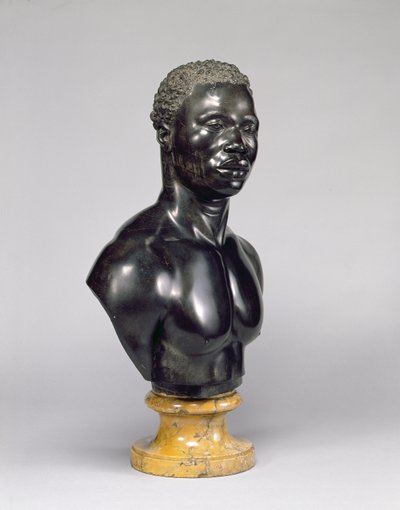 Buste van een man, ca. 1758 (zwart kalksteen en geel marmer) door Francis Harwood