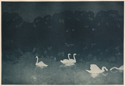 De Zwanen door Francis Jourdain