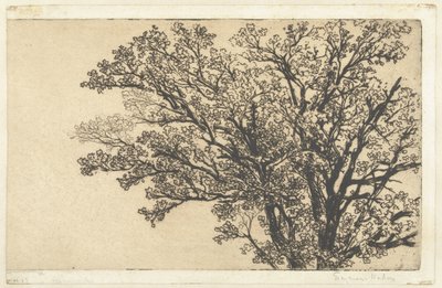Kruin van een boom door Francis Seymour Haden (Sir) (signed by artist)