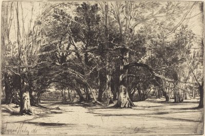 Een Landweg in Tipperary door Francis Seymour Haden