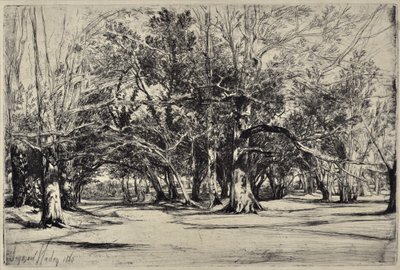 Een Landweg in Tipperary door Francis Seymour Haden