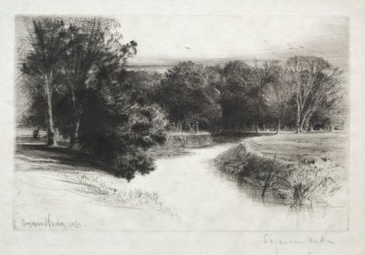 Een zonsondergang in Ierland, 1863 door Francis Seymour Haden