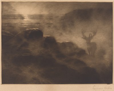 Een Vroege Vogel door Francis Seymour Haden