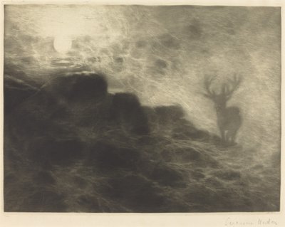 Een Vroege Vogel door Francis Seymour Haden