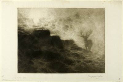 Een Vroege Vogel door Francis Seymour Haden