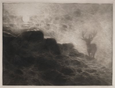 Een Vroege Vogel, 1897 door Francis Seymour Haden