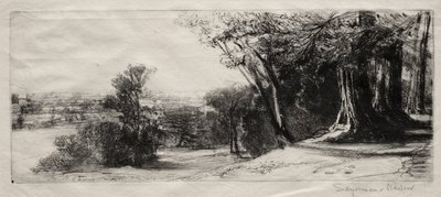 Vroege ochtend, Richmond Park door Francis Seymour Haden