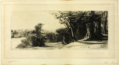 Vroege ochtend, Richmond Park door Francis Seymour Haden