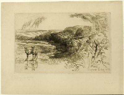 Encombe Woods, Nr. II door Francis Seymour Haden