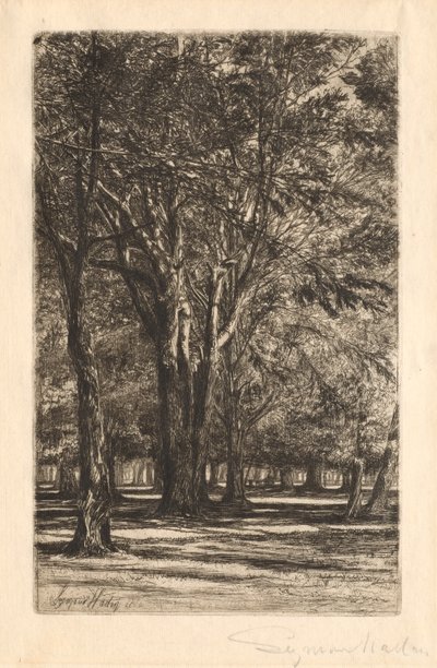 Kensington Gardens, nr. 2 Grote Plaat, 1860 door Francis Seymour Haden