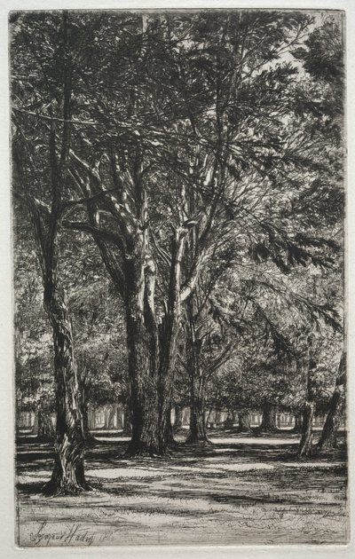 Kensington Gardens De Grote Plaat, 1860 door Francis Seymour Haden