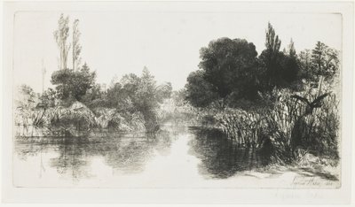 Shere Mill Pond (De grotere plaat), 1860 door Francis Seymour Haden