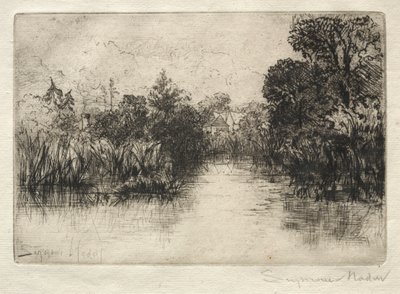 Shere Mill Pond Een Kleine Studie door Francis Seymour Haden