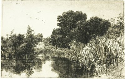 Shere Mill Pond, No. II (grote plaat) door Francis Seymour Haden