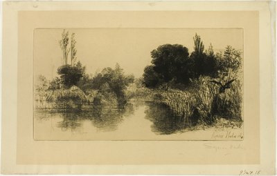 Shere Mill Pond, nr. II (grote plaat) door Francis Seymour Haden