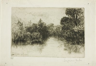 Shere Mill Pond, No. I (kleine plaat) door Francis Seymour Haden