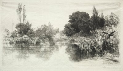 Shere Mill Pond De Grotere Plaat, 1860 door Francis Seymour Haden