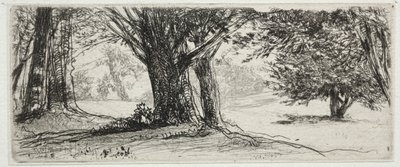 Het Hulstveld door Francis Seymour Haden
