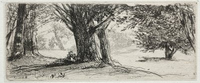Het Hulstveld door Francis Seymour Haden