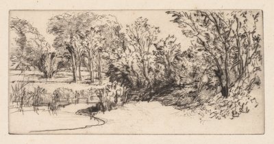De Kleine Longparish door Francis Seymour Haden