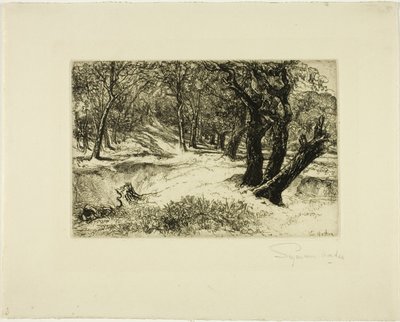 De Drie Zusters door Francis Seymour Haden