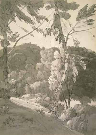Nr.1091 Een Bebost Landschap (Een Scène bij Indinowle) 1783 door Francis Towne