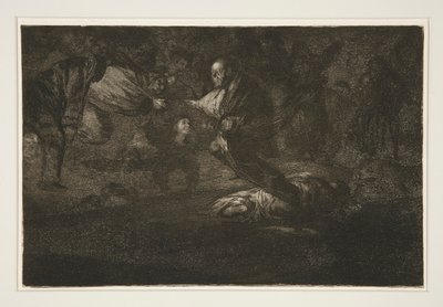 Dios los cria y ellos se juntan (God creëert hen en zij komen samen), pl. 18 uit de serie Los proverbios door Francisco de Goya