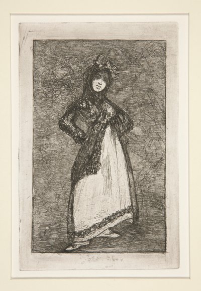 Maja [met een donkere achtergrond] door Francisco de Goya