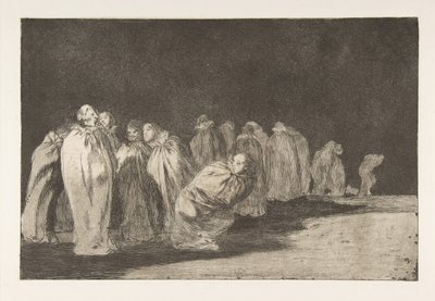 Plate 8 uit de 