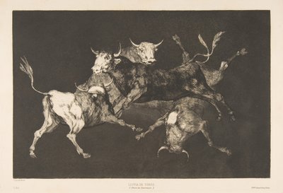 Plaat D uit de Disparates: Dwazen of kleine stieren - dwaasheid door Francisco de Goya