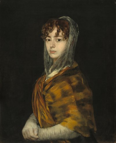 Señora Sabasa Garcia door Francisco de Goya