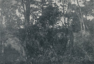 Cabanas de Indios, 1895 door Francisco Henszler