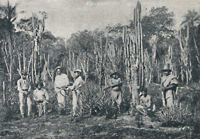 Campos, 1895 door Francisco Henszler