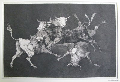 Dwaasheid van Dwazen door Francisco Jose de Goya y Lucientes