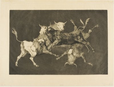 Dwaasheid van de Dwaas, uit Disparates door Francisco Jose de Goya y Lucientes