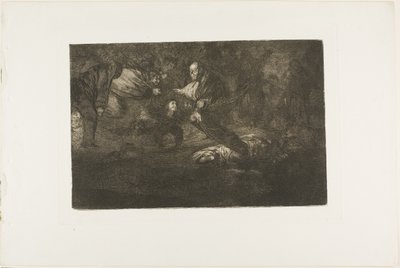 God schept hen en ze voegen zich samen, plaat 18 uit Los Proverbios door Francisco Jose de Goya y Lucientes